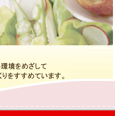 dƏoYE玙̗xTCg